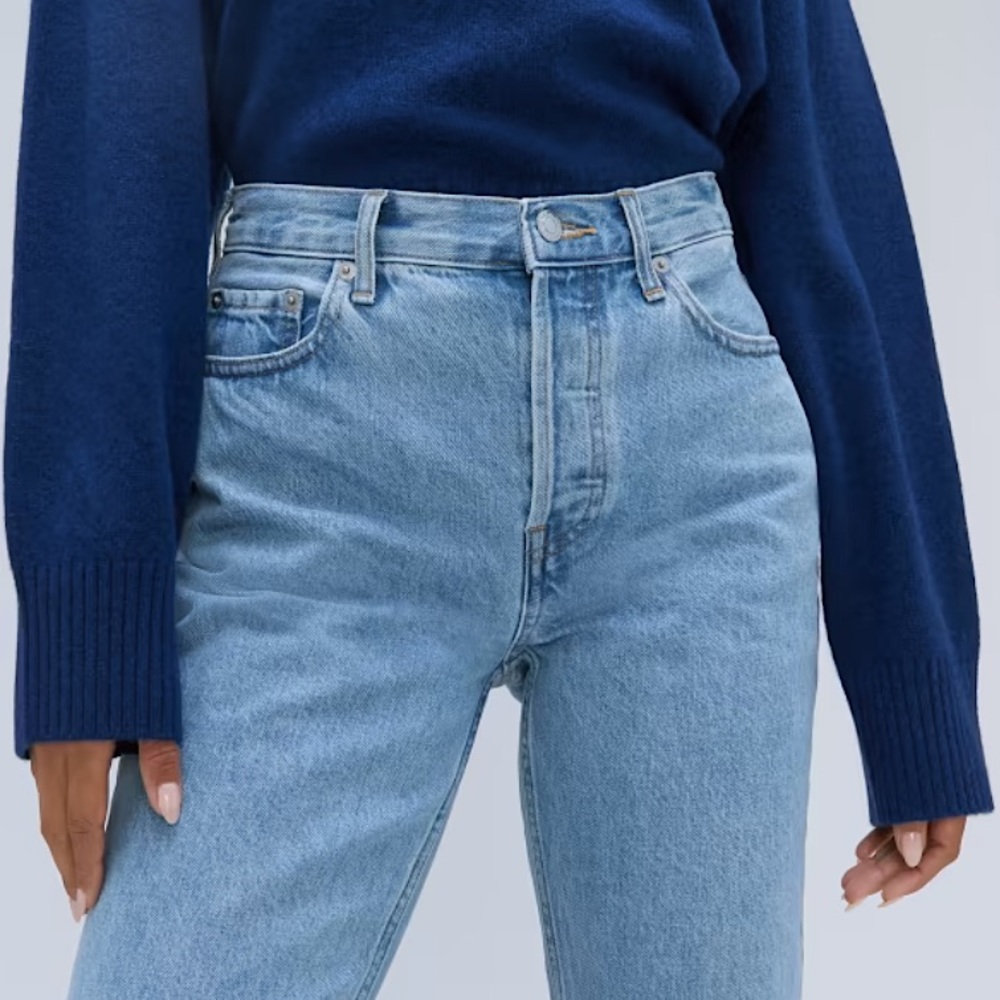The 90s Cheeky Jean in Clearwater blue by Everlane 24 crop - EUC